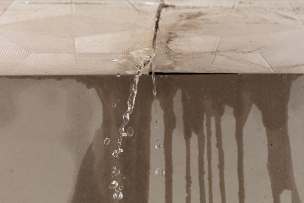 Professional Burst Pipe Cleanup technician working in Villa Park, IL